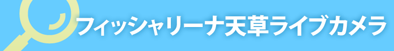 フィッシャリーナ天草ライブカメラ